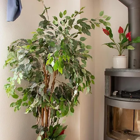 Appartement Dryas 02